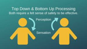 The text: Top Down & Bottom Up Processing. Both require a felt sense of safety to be effective. 

Below text, there are 2 orange figures side by side. The figure on the left has an arrow pointing from head to body, with corresponding text 'Perception'. The one on the right has an arrow pointing from body to head, with corresponding text 'Sensation'. 